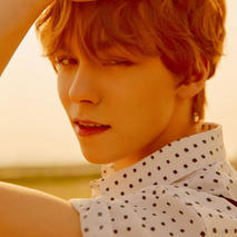 vernon (chwe hansol)